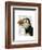 Puffin Portrait-Fab Funky-Framed Art Print