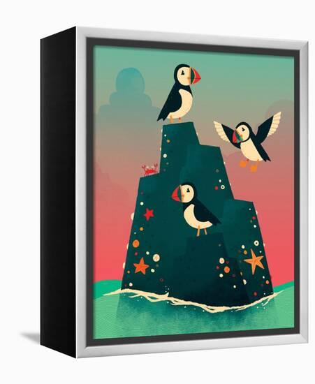 Puffin Rock-Michael Buxton-Framed Stretched Canvas