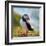 Puffin Standing On Grassy Cliff-geanina bechea-Framed Photographic Print