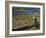 Puffin with Beak Full of Sand Eels, Isle of Lunga, Treshnish Isles, Inner Hebrides, Scotland, UK-Andy Sands-Framed Photographic Print