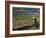 Puffin with Beak Full of Sand Eels, Isle of Lunga, Treshnish Isles, Inner Hebrides, Scotland, UK-Andy Sands-Framed Photographic Print