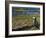 Puffin with Beak Full of Sand Eels, Isle of Lunga, Treshnish Isles, Inner Hebrides, Scotland, UK-Andy Sands-Framed Photographic Print