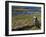 Puffin with Beak Full of Sand Eels, Isle of Lunga, Treshnish Isles, Inner Hebrides, Scotland, UK-Andy Sands-Framed Photographic Print