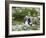 Puffin with Sand Eels-null-Framed Photographic Print