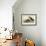 Puffin-John James Audubon-Framed Giclee Print displayed on a wall