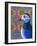 Puffin-Jane Tattersfield-Framed Giclee Print