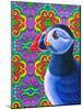 Puffin-Jane Tattersfield-Mounted Giclee Print