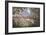 Puffing Billy 2-John Bradley-Framed Giclee Print