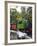 Puffing Billy Steam Train, Dandenong Ranges, near Melbourne, Victoria, Australia-David Wall-Framed Photographic Print