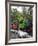 Puffing Billy Steam Train, Dandenong Ranges, near Melbourne, Victoria, Australia-David Wall-Framed Photographic Print