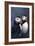 Puffins-Jeremy Paul-Framed Giclee Print