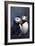 Puffins-Jeremy Paul-Framed Giclee Print