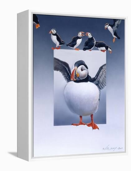 Puffins-Harro Maass-Framed Premier Image Canvas