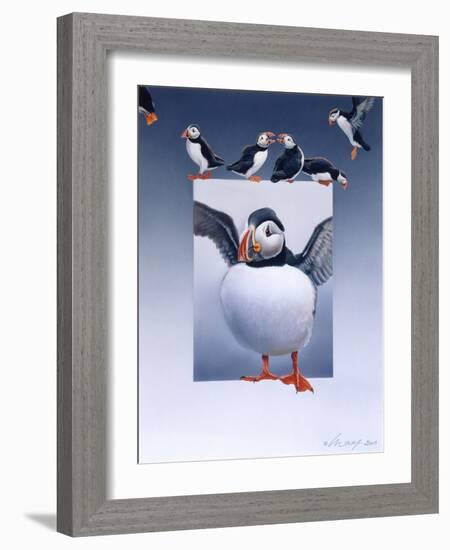 Puffins-Harro Maass-Framed Giclee Print