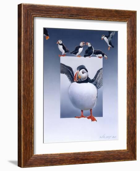 Puffins-Harro Maass-Framed Giclee Print