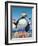 Puffins-R. B. Davis-Framed Giclee Print