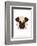 Pug - Animaru Cartoon Animal Print-Animaru-Framed Giclee Print