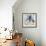 Pug Birthday-Anna Polanski-Framed Art Print displayed on a wall