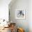 Pug Birthday-Anna Polanski-Framed Art Print displayed on a wall