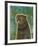 Pug (black)-John W^ Golden-Framed Art Print