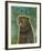 Pug (black)-John W^ Golden-Framed Art Print