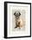 Pug DMC-Matt Dinniman-Framed Art Print