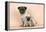 Pug Dog Adult and Puppy-null-Framed Premier Image Canvas