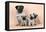 Pug Dog and 3 Puppies-null-Framed Premier Image Canvas