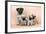 Pug Dog and 3 Puppies-null-Framed Photographic Print