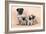 Pug Dog and 3 Puppies-null-Framed Photographic Print