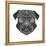 Pug Head Mesh-Lisa Kroll-Framed Stretched Canvas