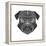 Pug Head Mesh-Lisa Kroll-Framed Stretched Canvas