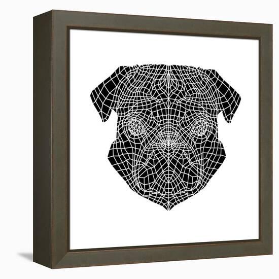 Pug Head Mesh-Lisa Kroll-Framed Stretched Canvas