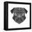 Pug Head Mesh-Lisa Kroll-Framed Stretched Canvas