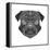 Pug Head Mesh-Lisa Kroll-Framed Stretched Canvas