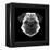 Pug Head-Lisa Kroll-Framed Stretched Canvas