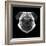 Pug Head-Lisa Kroll-Framed Art Print