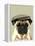 Pug in Flat Cap-Fab Funky-Framed Stretched Canvas