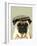 Pug in Flat Cap-Fab Funky-Framed Art Print