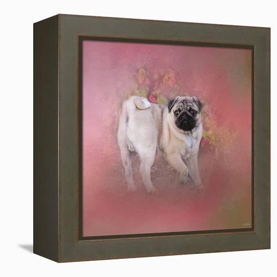 Pug in the Garden-Jai Johnson-Framed Premier Image Canvas