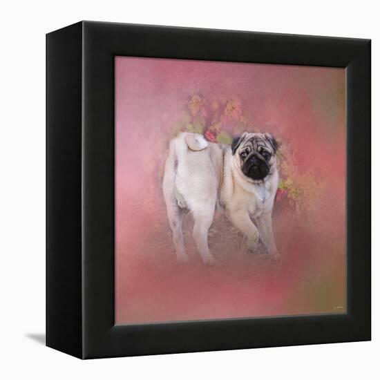 Pug in the Garden-Jai Johnson-Framed Premier Image Canvas