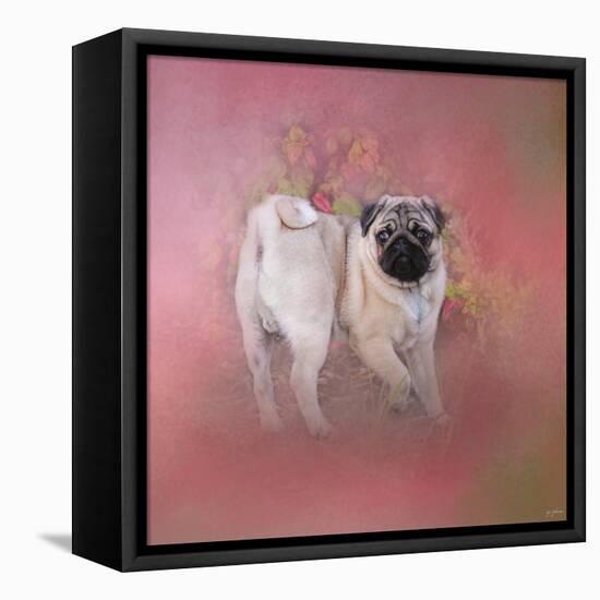 Pug in the Garden-Jai Johnson-Framed Premier Image Canvas