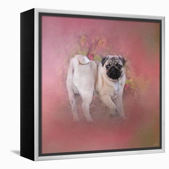 Pug in the Garden-Jai Johnson-Framed Premier Image Canvas