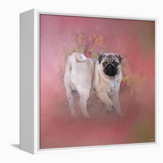 Pug in the Garden-Jai Johnson-Framed Premier Image Canvas