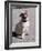 Pug Licking His Mouth-Henry Horenstein-Framed Photographic Print