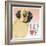 Pug Love-Tomoyo Pitcher-Framed Giclee Print