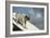 Pug on Agility Course-null-Framed Photographic Print