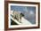 Pug on Agility Course-null-Framed Photographic Print