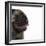 Pug Panting-null-Framed Photographic Print