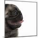 Premium Photographic Print